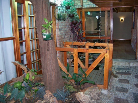 Courtyard and tropical pond, á La Martha’s Air-Port Guest House 